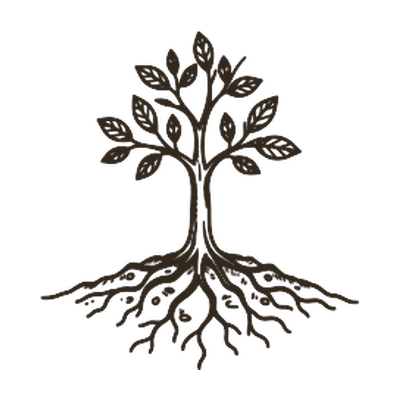 Healthy plant with spreading roots