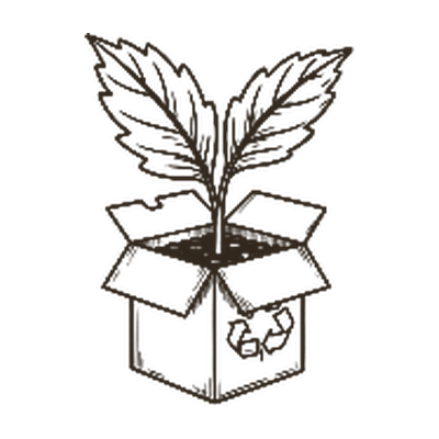 Plant growing from a recyclable box