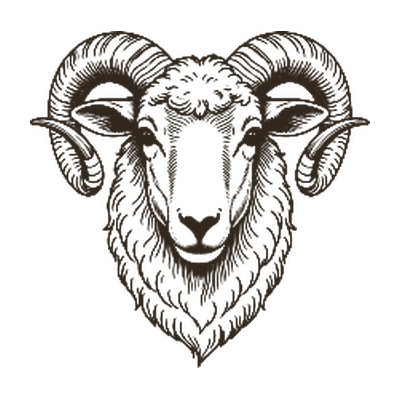 Line illustration of a rare-breed ram