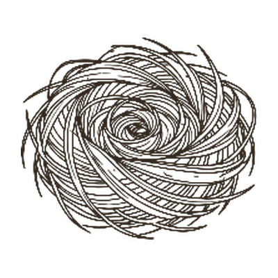 Nest formed from natural wool fibres