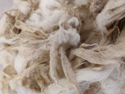 White Boreray Wool