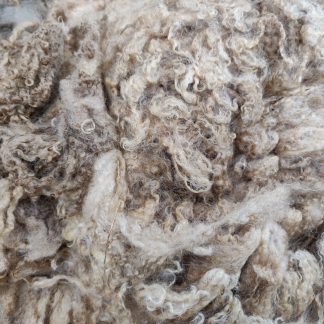 Icelandic Sheep Fleece